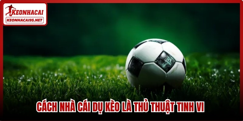 Cách nhà cái dụ kèo là thủ thuật tinh vi mà người chơi cần nắm vững