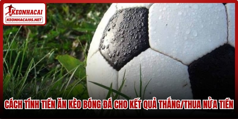 Cách tính tiền ăn kèo bóng đá cho kết quả thắng/thua nửa tiền