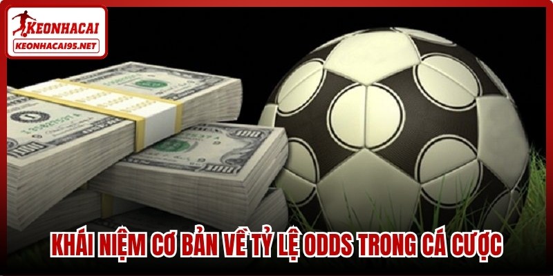 Khái niệm cơ bản về tỷ lệ Odds trong cá cược