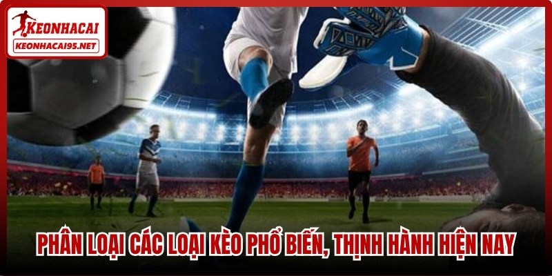 Phân loại các loại kèo phổ biến, thịnh hành hiện nay