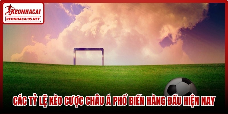 Các tỷ lệ kèo cược châu Á phổ biến hàng đầu hiện nay