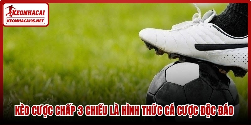 Kèo cược chấp 3 chiều là hình thức cá cược độc đáo giúp tối ưu lợi nhuận