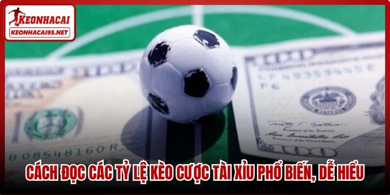 Cách đọc các tỷ lệ kèo cược tài xỉu phổ biến, dễ hiểu