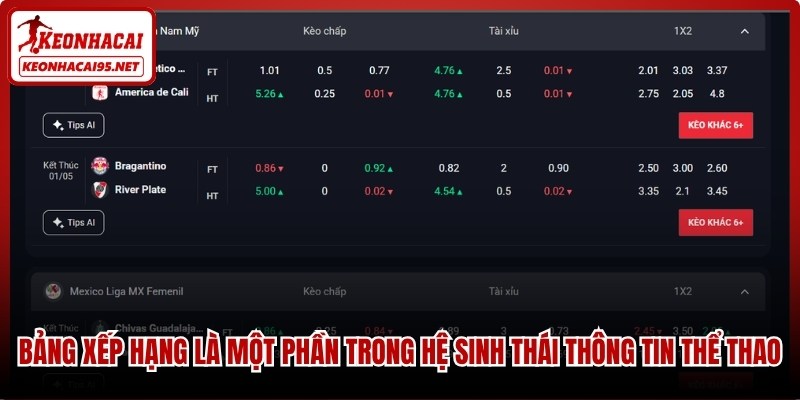 Bảng Xếp Hạng Bóng Đá – Cập Nhật Vị Trí Các Đội Quân Chính Xác 2 Bảng xếp hạng là một phần trong hệ sinh thái thông tin thể thao chuyên nghiệp