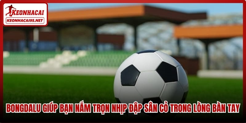 Bongdalu – Hệ Thống Cập Nhật Tỷ Số Và Tỷ Lệ Kèo Siêu Tốc 1 Bongdalu giúp bạn nắm trọn nhịp đập sân cỏ trong lòng bàn tay