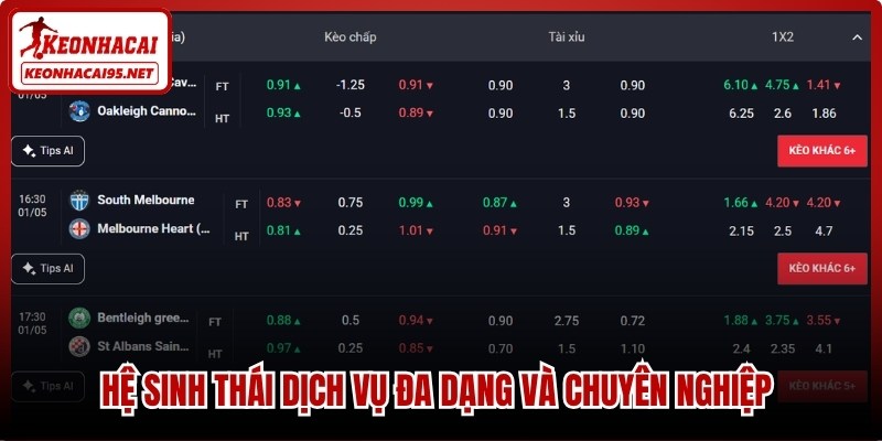 Bongdanet – Chuyên Trang Nhận Định Và Dữ Liệu Bóng Đá Chuẩn Xác 2 Hệ sinh thái dịch vụ đa dạng và chuyên nghiệp tại trang Bongdanet