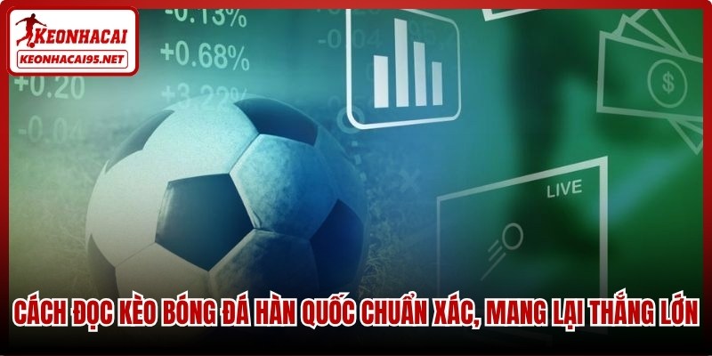 Kèo Bóng Đá Hàn Quốc – Mẹo Thắng Lớn Tại keonhacai95.net 3 Cách đọc kèo bóng đá Hàn Quốc chuẩn xác, mang lại thắng lớn
