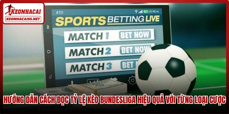 Hướng dẫn cách đọc tỷ lệ kèo Bundesliga hiệu quả với từng loại cược
